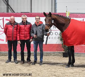 Youngster cup vrijspringen antwerpen