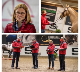 Meurrens Hengstenkeuring