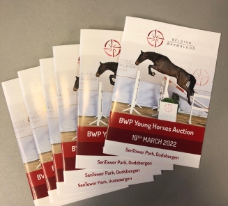 Young Horses Auction