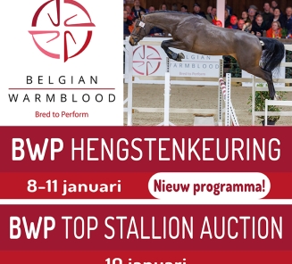 Hengstenkeuring