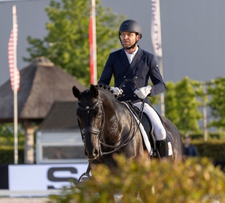 Kryptonite vd performing stables Verheyden