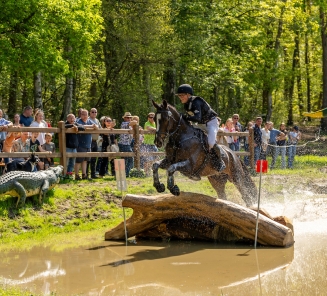 saffier vd heikenshoeve Bosch 