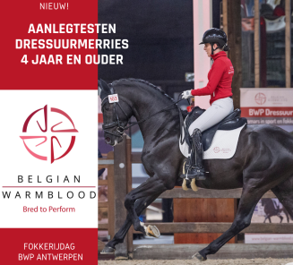 aanlegtesten dressuurmerries