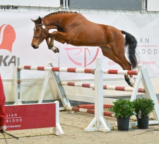 foto eerste oefening