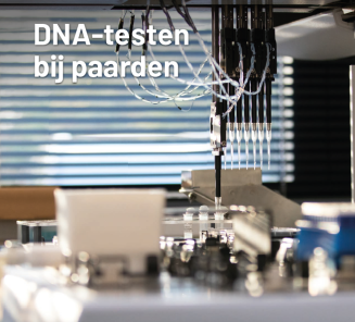 dna testen bij paarden