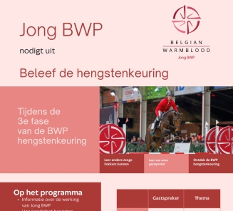 leermoment jong bwp