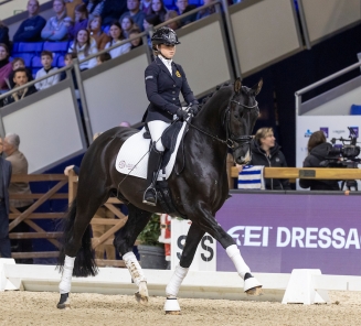 Suraya Hendrikx & Sacramento Vh Bloemenhof