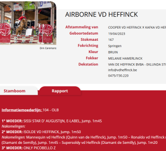 hengstenrapport BWP