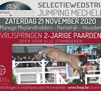 BWP Limburg organiseert vrijspringen - selectie Mechelen BWP Limburg organiseert vrijspringen - selectie Mechelen