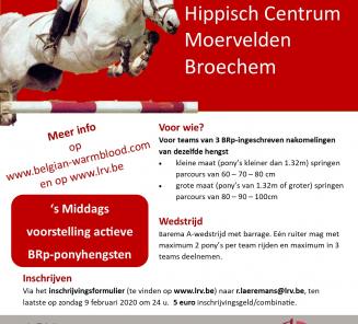 Cataloog BRp Hengsten NaborCup Cataloog BRp Hengsten NaborCup