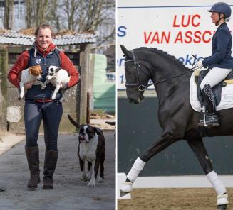 Kara Bosman van fokkerij De Tamise: Sport en fokkerij bij elkaar brengen ligt me nauw aan het hart Kara Bosman van fokkerij De Tamise: Sport en fokkerij bij elkaar brengen ligt me nauw aan het hart