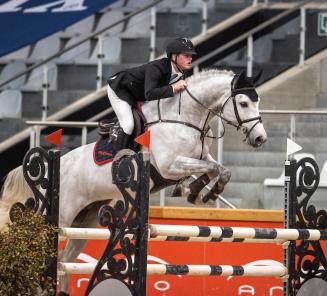 Chapper, étalon approuvé par le BWP, remporte la première manche de la Compétition d'Étalons avec Pieter Kenis Chapper, étalon approuvé par le BWP, remporte la première manche de la Compétition d'Étalons avec Pieter Kenis