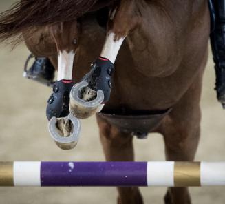 CSI5* Tryon: two brothers gold and silver