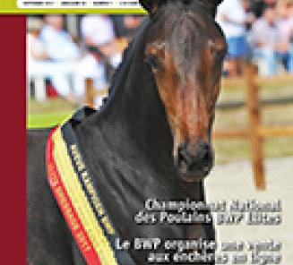 Ce mois dans EquiTime Ce mois dans EquiTime