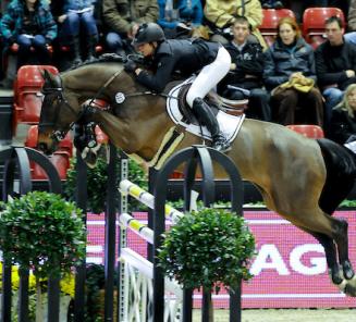 Top drie plaats voor Elvis II van de Rhandiahoeve (Nabab de Revel) Top drie plaats voor Elvis II van de Rhandiahoeve (Nabab de Revel)