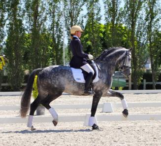 CDN Massenhoven: goud voor Verreet & Galliani Biolley CDN Massenhoven: goud voor Verreet & Galliani Biolley