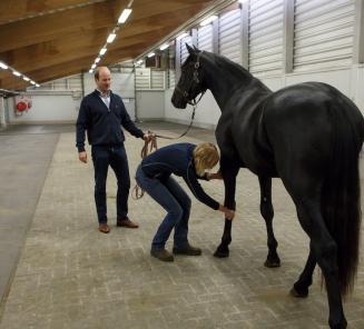 Veterinary examination : appointments have to be made before October 16