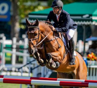 Yves Vanderhasselt en Hetman of Colors pakken brons in GP Lier