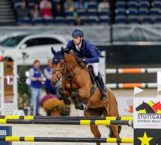 Des chevaux BWP dans les classements de saut d'obstacles, dressage et concours complet