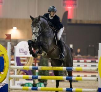 Finale van de Hengstencompetitie komt eraan Finale van de Hengstencompetitie komt eraan