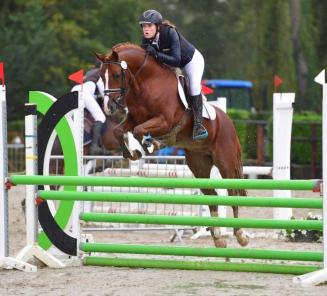 Data Wedstrijden Bestgaande Rijpony bekend! Data Wedstrijden Bestgaande Rijpony bekend!