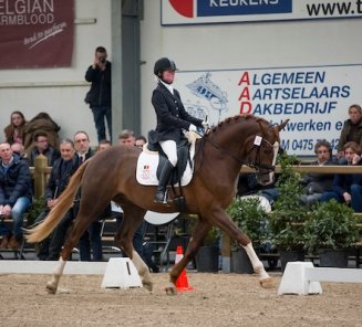 Dressuur Gesves: BWP-goedgekeurde hengst Quanto Curo V/H Bloemenhof neemt goede start bij de 4-jarigen Dressuur Gesves: BWP-goedgekeurde hengst Quanto Curo V/H Bloemenhof neemt goede start bij de 4-jarigen
