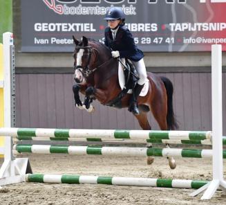 Nationale wedstrijd Bestgaande Rijpony: vrij inschrijven Nationale wedstrijd Bestgaande Rijpony: vrij inschrijven