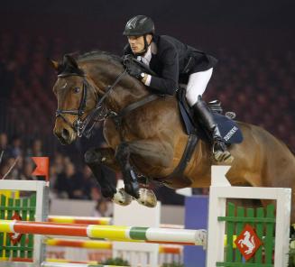 Auction stallions : Toulon and Thunder vd Zuuthoeve put their marks both on the sire and the dam side. Auction stallions : Toulon and Thunder vd Zuuthoeve put their marks both on the sire and the dam side.