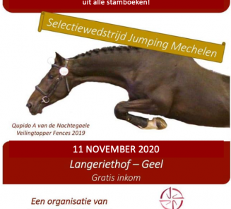 Jong BWP Antwerpen annuleert de Youngster Cup - Den 11ste Jong BWP Antwerpen annuleert de Youngster Cup - Den 11ste