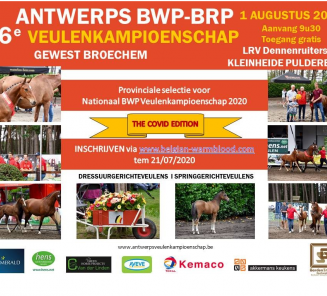 Inschrijvingen Antwerps Veulenkampioenschap van start Inschrijvingen Antwerps Veulenkampioenschap van start