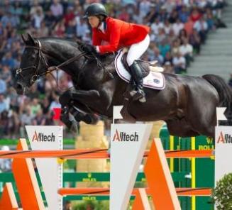 BWP horse Cortes C retired from the sport BWP horse Cortes C retired from the sport