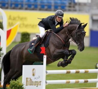 Itcho van t Ruytershof, uit de stam van Emerald en Diamanthina (foto), presteert in Roosendaal Itcho van t Ruytershof, uit de stam van Emerald en Diamanthina (foto), presteert in Roosendaal