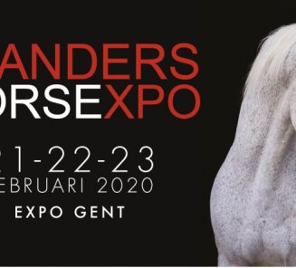 BWP geeft tickets weg voor Flanders Horse Expo! BWP geeft tickets weg voor Flanders Horse Expo!