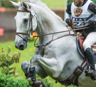 Eventing Sopot: Xavier Snackers en Giel Vanhouche presteren met hun BWPers Eventing Sopot: Xavier Snackers en Giel Vanhouche presteren met hun BWPers