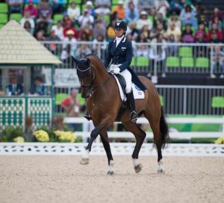 Dressage : Foco-Loco W brilliant in CDI Wellington