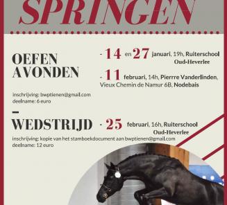 Wedstrijd vrijspringen 25/2 Wedstrijd vrijspringen 25/2