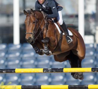 Gazelle ter Elzen 4de in GP Wellington! Gazelle ter Elzen 4de in GP Wellington!