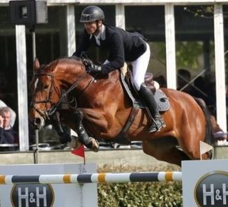 BWP mare Hannah wins the Longines Grand Prix of Lummen BWP mare Hannah wins the Longines Grand Prix of Lummen