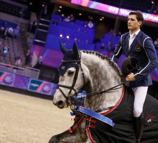 Rankings : BWP 2° best jumping horse studbook in the world