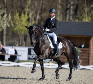 Dressuur: Fil Rouge, Intermezzo vh Meerdaelhof (foto) en Flynn houden BWP-eer hoog in Opglabbeek Dressuur: Fil Rouge, Intermezzo vh Meerdaelhof (foto) en Flynn houden BWP-eer hoog in Opglabbeek