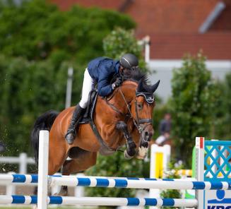BWP geeft wild cards voor Gesves op Nationaal Jonge Paarden LRV BWP geeft wild cards voor Gesves op Nationaal Jonge Paarden LRV