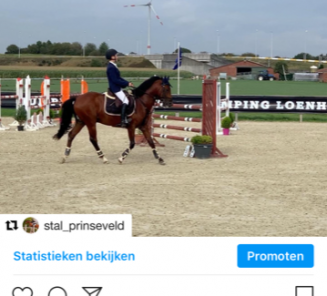 BRp-goedgekeurde hengst Konquistador van Orchids wint 2de keer op rij hoogste proef Gouden Laars! BRp-goedgekeurde hengst Konquistador van Orchids wint 2de keer op rij hoogste proef Gouden Laars!