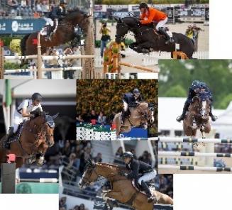 Landbouwleven Paard van het jaar: stem voor de BWPers! Landbouwleven Paard van het jaar: stem voor de BWPers!