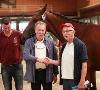 Inschrijvingen Prijskamp & Flanders Open Foal Championship BWP Leiestreek open Inschrijvingen Prijskamp & Flanders Open Foal Championship BWP Leiestreek open