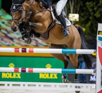 Patteet & Bamako de Muze-dochter Monalisa van ’t Paradijs winnen in ’s Hertogenbosch Patteet & Bamako de Muze-dochter Monalisa van ’t Paradijs winnen in ’s Hertogenbosch