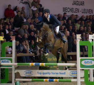 Gesves : 67 chevaux 4 ans ont fait un parcours sans-fautes dont 33 BWP Gesves : 67 chevaux 4 ans ont fait un parcours sans-fautes dont 33 BWP