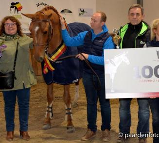 Oh my star van Strijtem wint opnieuw het vrijspringen Oh my star van Strijtem wint opnieuw het vrijspringen