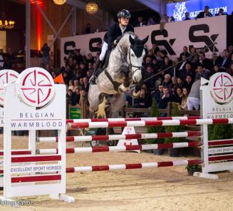 Hengstencompetitie: De Winter & Omano BC winnen eerste manche 6-jarigen Hengstencompetitie: De Winter & Omano BC winnen eerste manche 6-jarigen