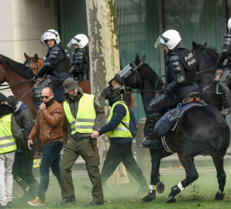 Federale Politie zoekt paarden via centrale kijkdag! Federale Politie zoekt paarden via centrale kijkdag!