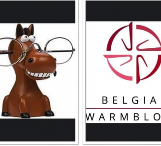 Slimmer kijken naar een paard Slimmer kijken naar een paard